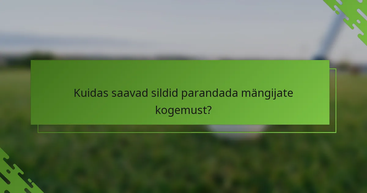 Kuidas saavad sildid parandada mängijate kogemust?